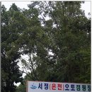 서정온천오토캠핑장 이미지