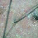 지성헤어숍 이미지