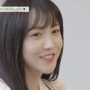 시그널코리아 이미지