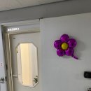 미솜약국 | 안양 피부관리 웰스칼프 두피&amp;피부 안양범계역점 머미테라피 후기