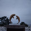 대성장어 이미지