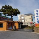 청솔(171) 이미지