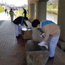 광명6동 주민센터 이미지