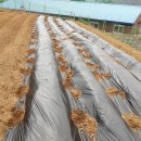 은현농장 이미지