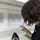 버티세탁 이미지