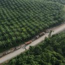 해상농장 이미지