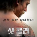 샷콜러 이미지