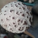 라온농장 이미지