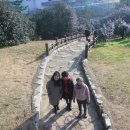 도산초교 이미지