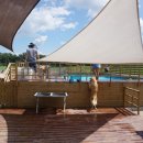 레이지독 이미지