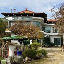 대구건강 은행 | 고령 다산 맛집 ‘모연담’ 은행나무숲 근처 대구 근교 카페