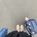 다랑들락 이미지