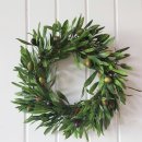 올리브조화 이미지