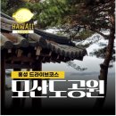 2026년6월8일(월) 홍성 죽도[마감] 이미지