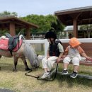 장수목장2 이미지