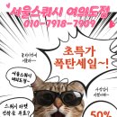 네이버블로그