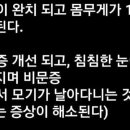 삼성병원 암센타 담당교수가 보내 준 글 이미지