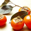 아트테라피 이미지