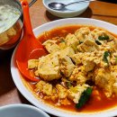 [임신기록3] 임신중기 13주~16주 임산부의 크리스마스 드디어 성별확인 장꾸맘 각도법 성심당 임산부...
