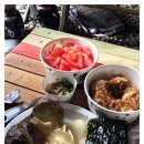 (주)티피팜 | 피크파크 홀릭과 함께하는 슬기로운 캠핑생활(화천러브팜캠핑장-산천어번캠이야기)