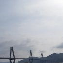 저도 Daum카페