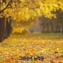 가을비 우산속 - 최헌 이미지