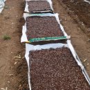 민들레2농장 이미지