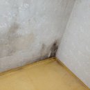 구로-현장-구로-1980 이미지