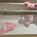 (주)디자인에이원 | 육아용품리뷰_내돈내산_ 리안 드림콧 신생아 유아침대_2025최신형_리안침대정품인증