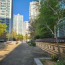 신부자공인중개사사무소 이미지