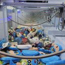 뽑기중독 이미지