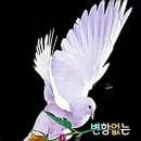 고운아침