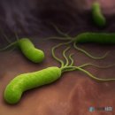 바른속내과 이미지