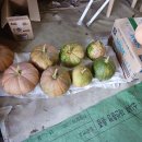 평산청과 이미지