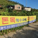 우이도 풍성사구 이미지