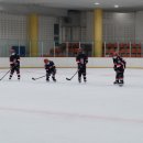 [유아체육] 체력운동 이미지