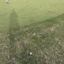 서원 | 서원힐스CC 야간 라운드 후기 잔디 교체 안정화 기간 웨스트 코스 상태