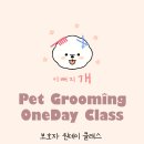 금촌애견 이미지