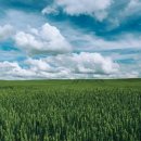 제성한의원 이미지