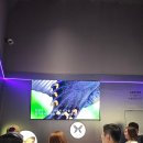 나비셀 동물의료센터 | 추천 코스 - 3살 아이와 함께한 평일 오픈런 완벽 정복 후기 (feat. 최적의 일정표, 동선 꿀팁, 대기...