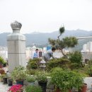 진해 덕산동 주민센터 이미지