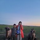 1.몽골에 왔습니다. 2022.7.31 몽골여행 첫째날. 울란바토르에서 엘승타사르하이 (330km) 이미지