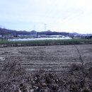 조양목장 이미지