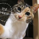 글라스바바안경 향남점 이미지