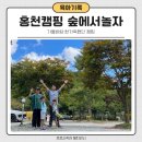 홍천 캠핑장 숲에서놀자 완전 추천 가을냄새 풀풀