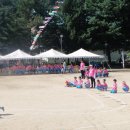 도암초등학교 - 이천시 | 도암초등학교