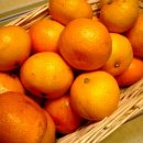 대전한국병원 이미지