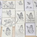 연필화 (중급) 이미지