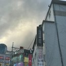 도니바니 애견유치원 이미지