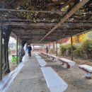 남중학교 이미지